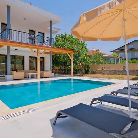 Willa Infinity Olive *