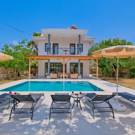 Infinity Olive Villa *