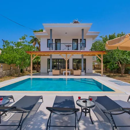 Infinity Olive Villa Fethiye