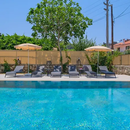 Infinity Olive Villa