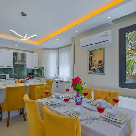 Villa Infinity Olive Fethiye