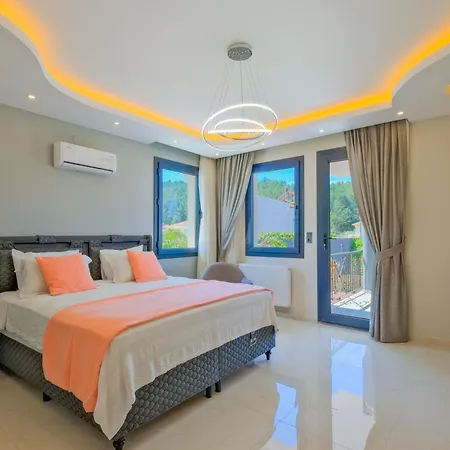 Villa Infinity Olive *