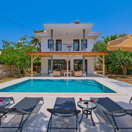 Infinity Olive Vilă Fethiye