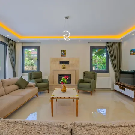 Villa Infinity Olive *