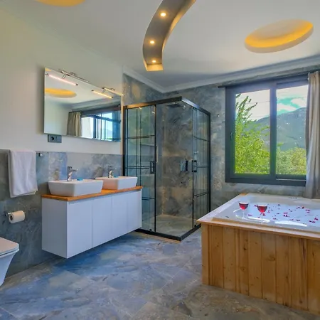 Villa Infinity Olive *