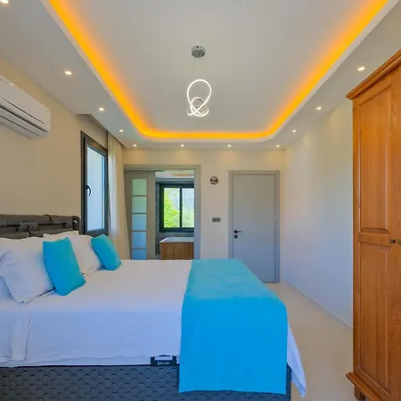 Infinity Olive Villa