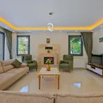 Vila Infinity Olive *