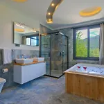 Vila Infinity Olive *