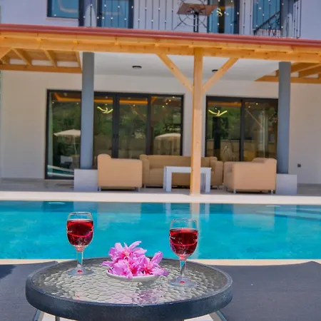 Vila Infinity Olive *