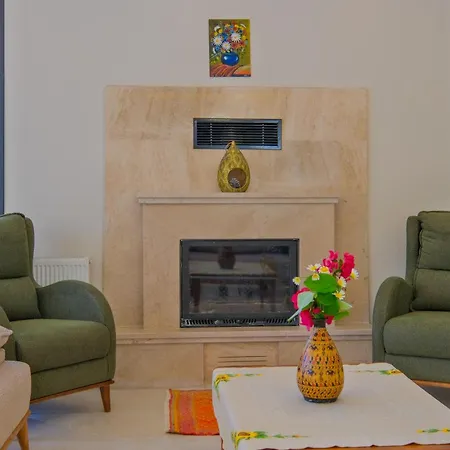 Vila Infinity Olive