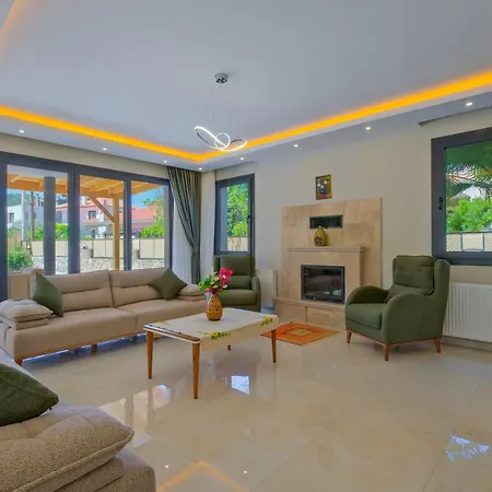 Vila Infinity Olive *